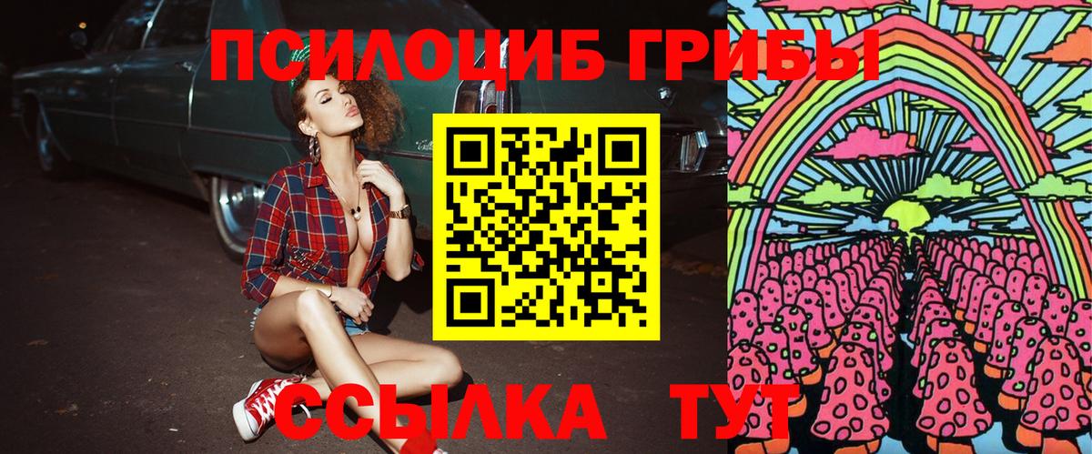 Псилоцибиновые грибы Psilocybe  Вход с VPN  Старая Купавна 
